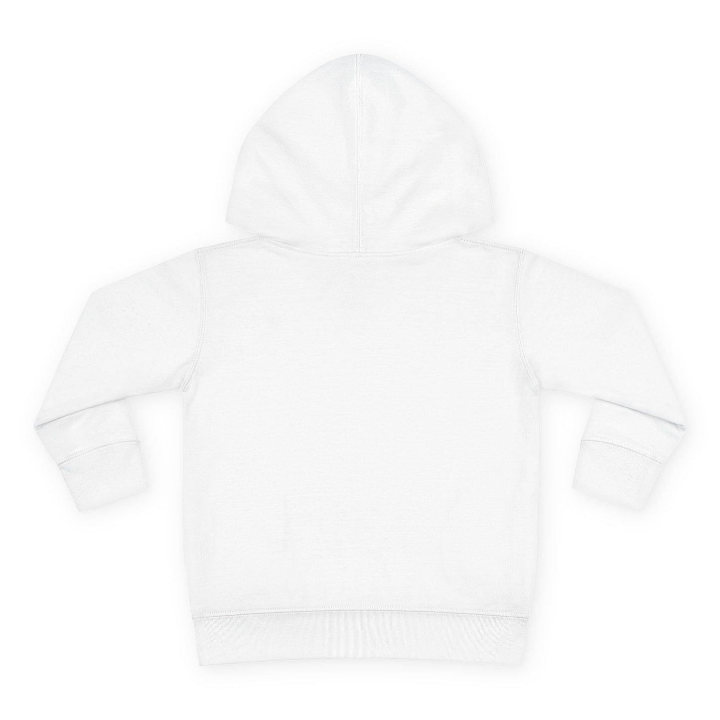 Cute Dinosaur Toddler Fleece Hoodie - 'Who Me? I Didn't Eat a Rainbow'